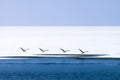 Wetlands - 6